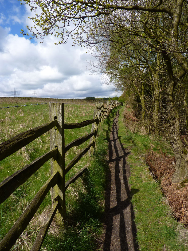 Calderdale Walk